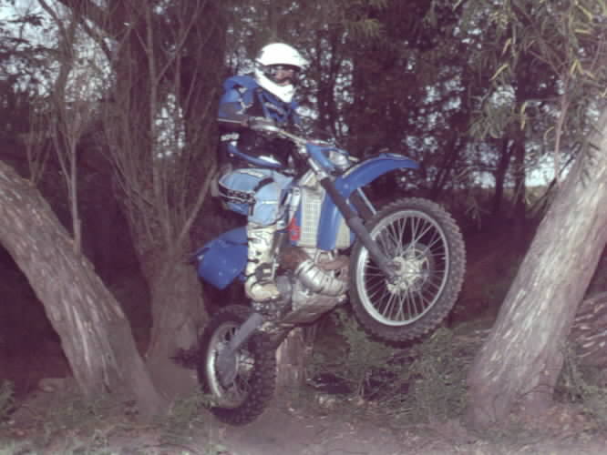 Wudsracer